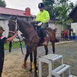 John House Stable : Tempat Belajar Berkuda dan Mengembangkan Bakat Olahraga di Kalimantan Selatan