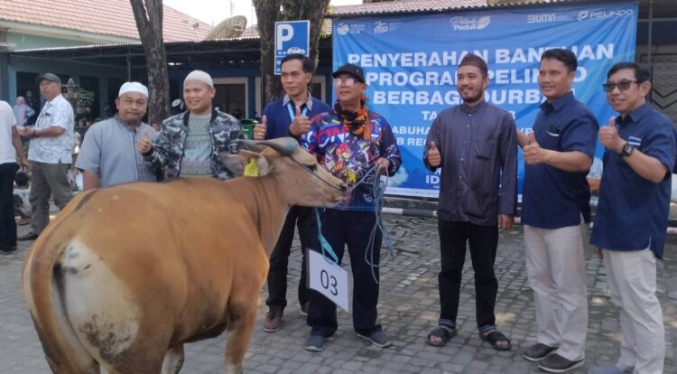 Pelindo Serahkan Hewan Kurban Bagi Warga Sekitar