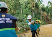 Program Grid Sistem Jaringan Kelistrikan Pastikan Kesiapan Jaringan Sistem 20 KV