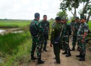 Program Optimalisasi Lahan Rawa (OPLAH) Kapuas di tinjau Danrem 102/Pjg