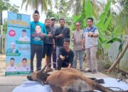 Momen Idul Adha PKB Kapuas Potong Hewan Qurban