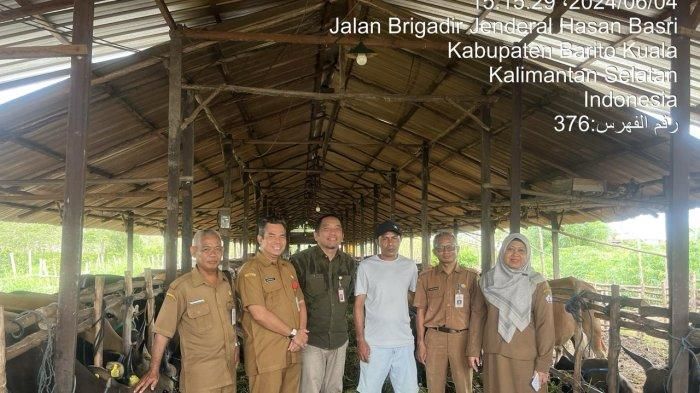 Barito Kuala Siapkan Hewan Kurban Sehat untuk Idul Adha 2024