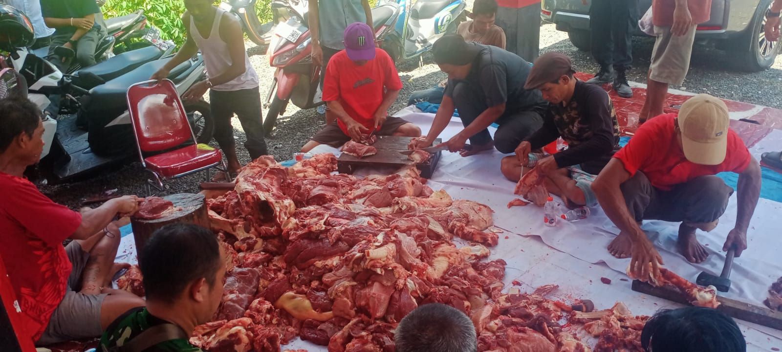 DPC-PDIP Kapuas Laksanakan Ibadah Qurban