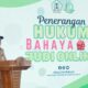 Kejari Barito Kuala Gelar Sosialisasi Bahaya Judi Online
