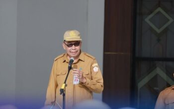 DPPKBP3A Barito Kuala Fokus Pada Pengendalian Penduduk dan Peningkatan Ekonomi