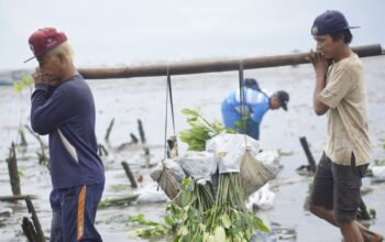 Kini, LindungiHutan Punya Layanan Impact Report untuk Ukur Dampak Hijau