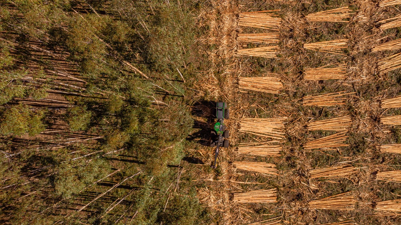 Koltiva Dorong Dialog Multi-Pemangku Kepentingan tentang Regulasi Anti Deforestasi Uni Eropa dan Kepatuhan untuk Keberlanjutan Industri