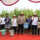 Panen Raya Jagung Serentak Tahap Pertama di Kapuas Untuk Dukung Program Ketahanan Pangan Nasional