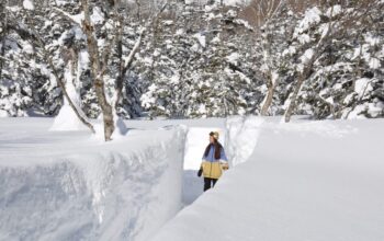 Hanya di Musim Dingin! Dinding Salju Raksasa Setinggi 5 Meter “Tsugaike Snow Wall” di Pegunungan Bersalju dengan Ketinggian 1.500 Meter