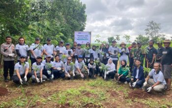 Dukung Keberlanjutan Lingkungan, PT PHC Indonesia Tanam 500 Pohon Alpukat di Desa Pasirbungur