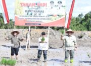 Kapuas Siapkan Lahan Dukung Program Nasional Food Estate Swasembada Pangan