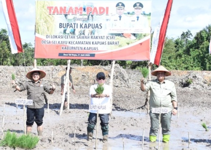 Kapuas Siapkan Lahan Dukung Program Nasional Food Estate Swasembada Pangan