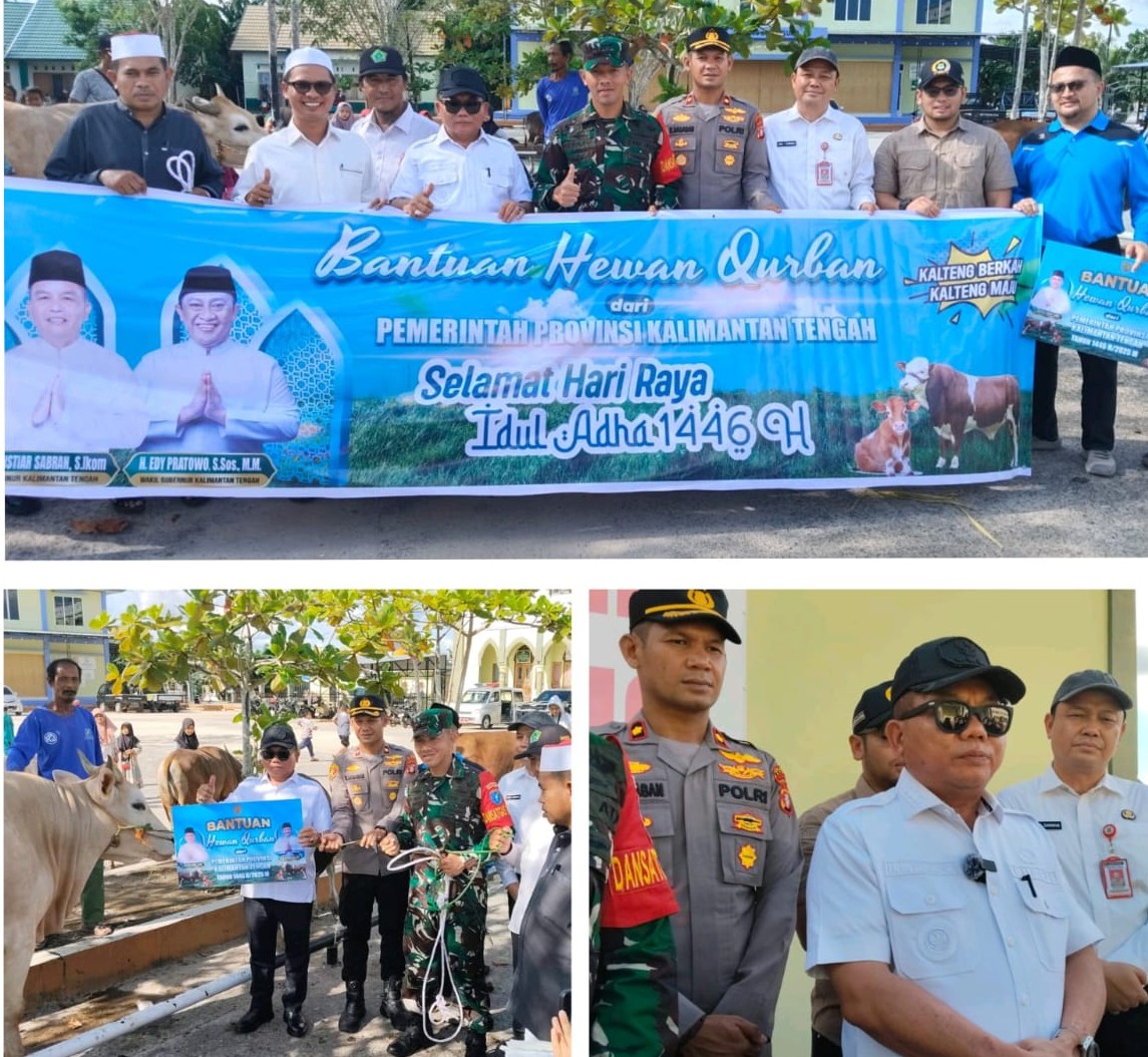 H M Wiyatno SP, Serahkan Hewan Qurban Bantuan Provinsi Sebanyak 40 Ekor Sapi