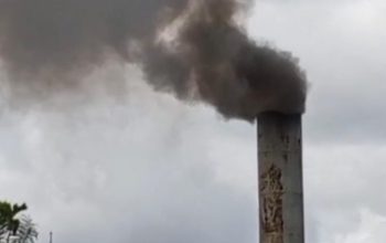 Cerobong PT Panca Kraft Pratama Diduga Pasok Polusi ke Warga, Matahukum Minta Segera Ditutup
