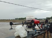 Babulu Jadi Sentra Modernisasi Pertanian PPU, 29 Drone Seeder Siap Dioperasikan Akhir Tahun