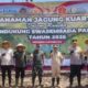 Gubernur Beserta Unsur FORKUPIMDA Kalteng, Tanam jagung Perdana di Kapuas.