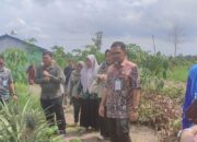 Direktur Hilirisasi Hortikultura Kementan RI Monitoring Bantuan dan Capaian LTT Padi di Batola