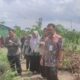 Direktur Hilirisasi Hortikultura Kementan RI Monitoring Bantuan dan Capaian LTT Padi di Batola