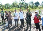 Wali Kota dan Dandim 1007 Banjarmasin Turun Langsung Tanam Padi di Sungai Andai