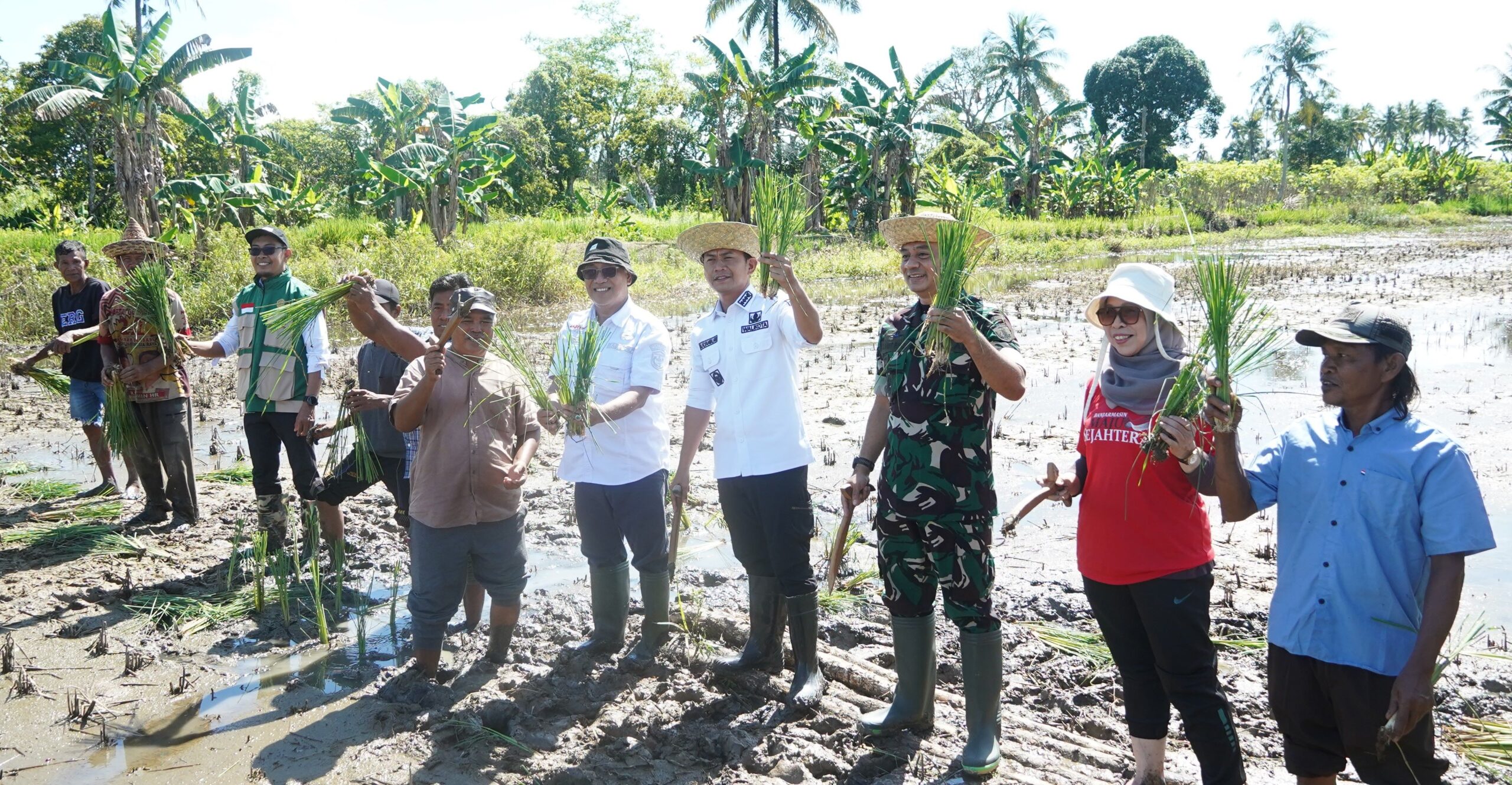 Wali Kota dan Dandim 1007 Banjarmasin Turun Langsung Tanam Padi di Sungai Andai