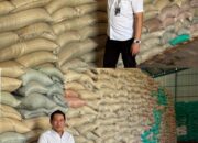 Stok Beras Bulog Nasional 5 Juta Ton, Bulog Kapuas Stoknya Melimpah Tetap Serap Gabah Petani Secara Berkelanjutan