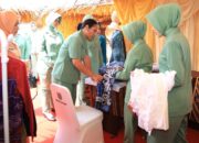 Sasirangan Motif Todak Tembus Pasar Modern, Ibu Rabiatul Angkat Budaya Banjar ke Level Nasional