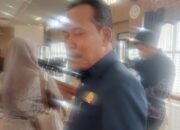 Kemarau Panjang, Pangan Kalsel Tetap Aman