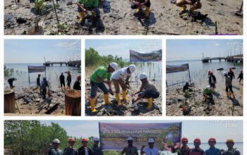 PT Sumber Tani Agung Oils And Fats Tanam 1.000 Mangrove di Dumai, Dari Pesisir untuk Indonesia di Hari Bumi ke-56