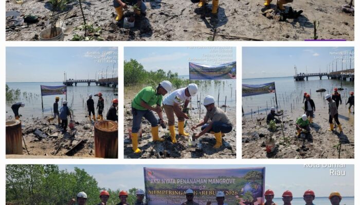 PT Sumber Tani Agung Oils And Fats Tanam 1.000 Mangrove di Dumai, Dari Pesisir untuk Indonesia di Hari Bumi ke-56