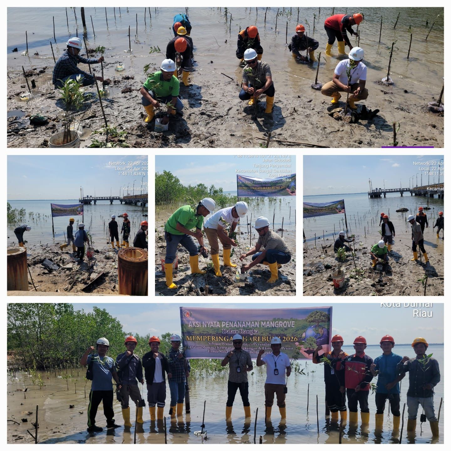 PT Sumber Tani Agung Oils And Fats Tanam 1.000 Mangrove di Dumai, Dari Pesisir untuk Indonesia di Hari Bumi ke-56