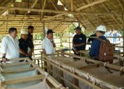 Perkuat Strategi Peningkatan Produksi dan Pengamanan Aset, Operational Strategic Advisory PTPN III (Persero) Kunjungi PTPN IV Regional VII