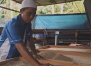 Ubah Sampah Jadi Sumber Penghasilan, Warga Kuala Tanjung Kelola Hingga 2 Ton per Hari