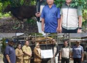 Tingkatkan Kesejahteraan Sosial, Bandara Internasional Syamsudin Noor Bagikan Protein Hewani