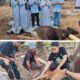 ORGANDA Kapuas Berbagi Qurban dan Perkuat Solidaritas Organisasi