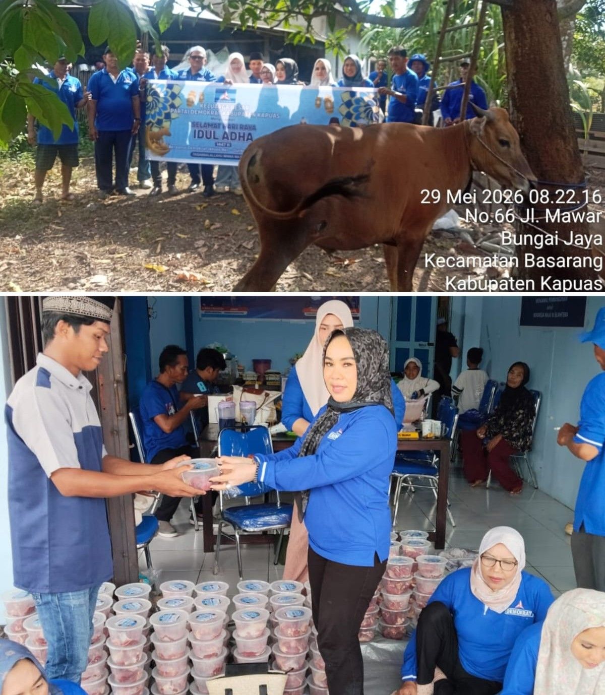 DPC Partai Demokrat Kabupaten Kapuas,bagikan Daging Qurban Kepada Warga