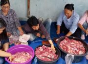 DPW IPJI Kalteng Gelar Pemotongan Sapi Kurban, Perkuat Kepedulian Sosial dan Kebersamaan