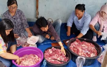 DPW IPJI Kalteng Gelar Pemotongan Sapi Kurban, Perkuat Kepedulian Sosial dan Kebersamaan