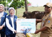 PT Pelindo Sinergi Lokaseva Berbagi Hewan Kurban, Perkuat Kepedulian Sosial dan Dukung Peternak Lokal PT Pelindo Sinergi Lokaseva Berbagi Hewan Kurban, Perkuat Kepedulian Sosial dan Dukung Peternak Lokal