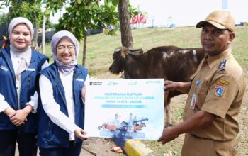 PT Pelindo Sinergi Lokaseva Berbagi Hewan Kurban, Perkuat Kepedulian Sosial dan Dukung Peternak Lokal PT Pelindo Sinergi Lokaseva Berbagi Hewan Kurban, Perkuat Kepedulian Sosial dan Dukung Peternak Lokal