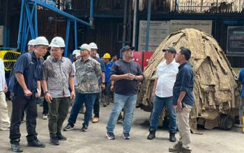 Holding Perkebunan Nusantara Perkuat Produktivitas Karet, PTPN I Fokus Benahi Kebun Padang Pelawi Holding Perkebunan Nusantara Perkuat Produktivitas Karet, PTPN I Fokus Benahi Kebun Padang Pelawi