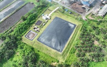 Holding Perkebunan Nusantara Perkuat Transisi Energi Bersih melalui Perdagangan Karbon PTPN IV PalmCo Holding Perkebunan Nusantara Perkuat Transisi Energi Bersih melalui Perdagangan Karbon PTPN IV PalmCo