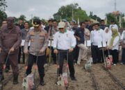 Dukung Ketahanan Pangan, Holding Perkebunan Nusantara Lewat PalmCo Perkuat Kemitraan Petani di Jambi