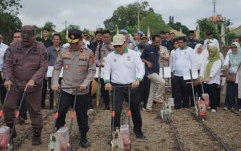 Dukung Ketahanan Pangan, Holding Perkebunan Nusantara Lewat PalmCo Perkuat Kemitraan Petani di Jambi