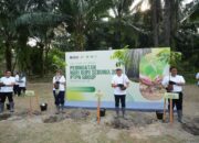 Holding Perkebunan Nusantara melalui PalmCo Targetkan Tanam 50.000 Pohon, Perkuat Komitmen Lingkungan di Hari Bumi