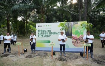 Holding Perkebunan Nusantara melalui PalmCo Targetkan Tanam 50.000 Pohon, Perkuat Komitmen Lingkungan di Hari Bumi