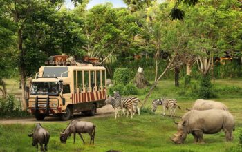 Taman Safari Indonesia Siap Dukung Transformasi Kebun Binatang Bandung sebagai Lembaga Konservasi Modern