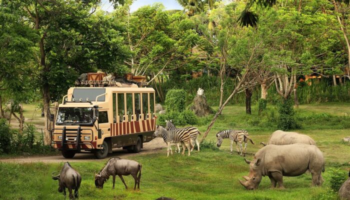 Taman Safari Indonesia Siap Dukung Transformasi Kebun Binatang Bandung sebagai Lembaga Konservasi Modern