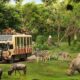 Taman Safari Indonesia Siap Dukung Transformasi Kebun Binatang Bandung sebagai Lembaga Konservasi Modern