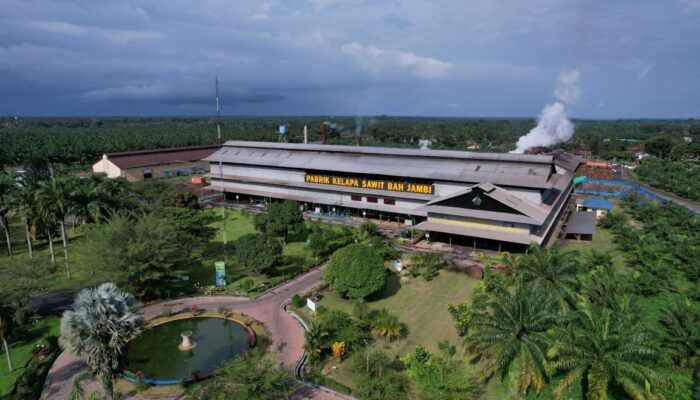 Melalui PalmCo, Holding Perkebunan Nusantara Perluas Akses Digital bagi Sekolah di Pelosok