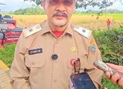 Dukung Program KSPEAN,DPKP Kalsel dan Wakil Menteri Koordinator Bidang Pangan Lakukan Panen Padi di HSS Dukung Program KSPEAN,DPKP Kalsel dan Wakil Menteri Koordinator Bidang Pangan Lakukan Panen Padi di HSS